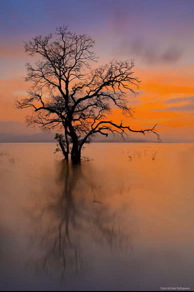 album/1-8.jpg