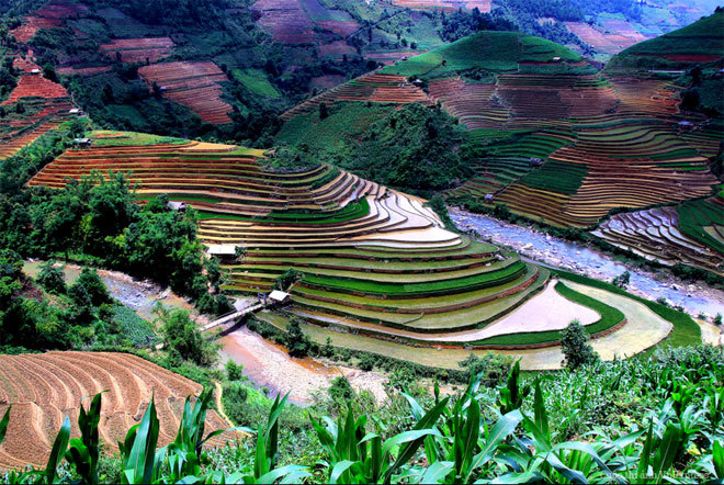 album/2-2.jpg